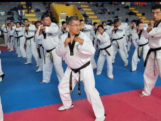 Kukkiwon Taekwondo Acedemy
